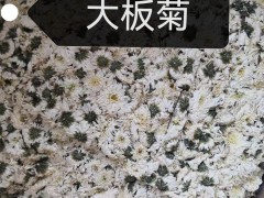 出售1年牡丹苗，油用，藥用牡丹苗。自家種植，價(jià)格便宜圖5